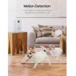⁦Faroro Caméra Full HD 1080P pour chien avec distributeur de friandises à distance⁩ - الصورة ⁦5⁩