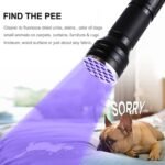 ⁦lampe de poche UV 21LED en alliage d'aluminium détecteur des scorpions et faux billet - المصباح بالأشعة فوق البنفسجية كاشف للعقارب والعملات المزورة⁩ - الصورة ⁦4⁩