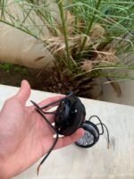 ⁦Lot de 2 Phares Antibrouillard 6 LED 12V-85V pour Moto⁩ - الصورة ⁦4⁩